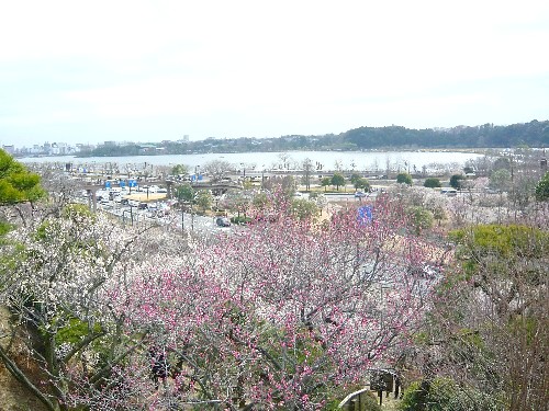 c0058606_174471.jpg