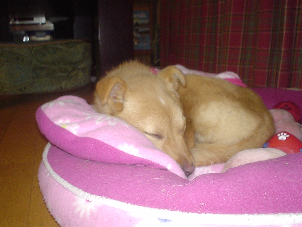 c0150520_22331898.jpg