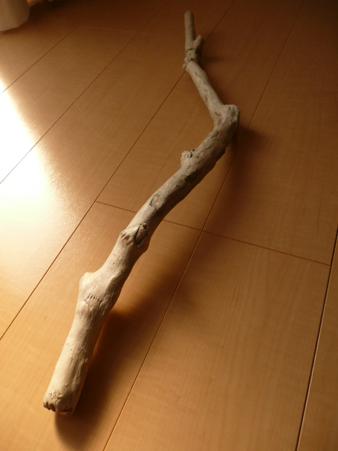 f0178427_22235580.jpg