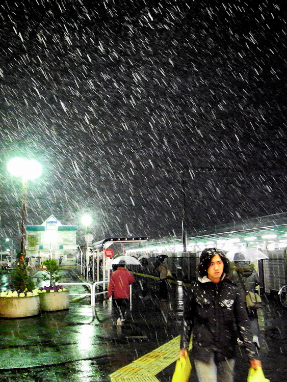 a0113732_02216100.jpg
