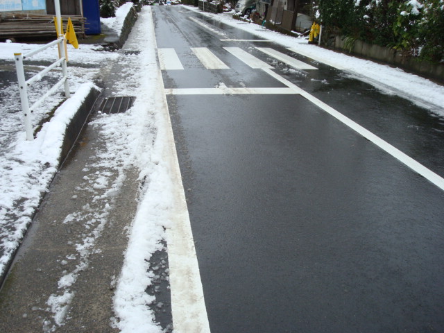 a0048040_7155780.jpg