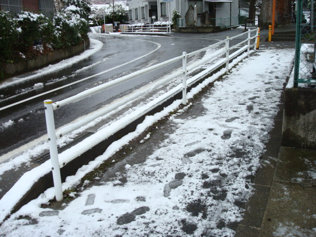 a0048040_7161216.jpg