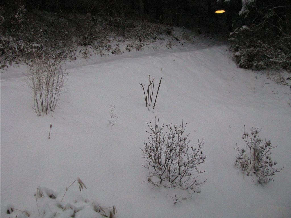 f0151044_1083692.jpg