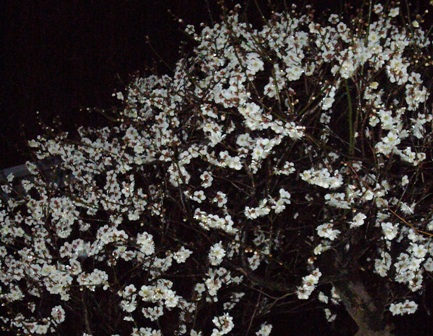 c0122445_18144573.jpg