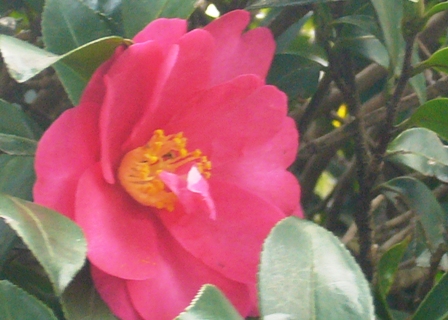 c0122445_1816029.jpg
