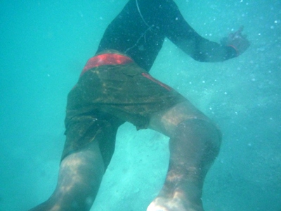e0027447_19562296.jpg
