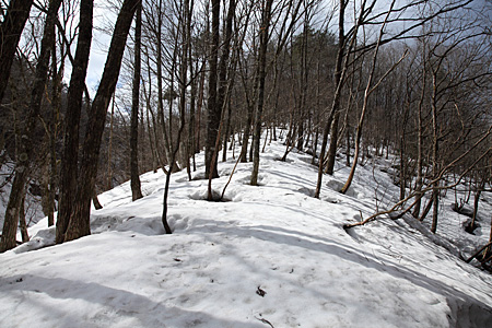 e0113053_23433984.jpg