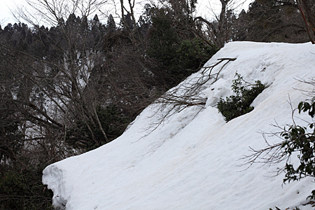 e0113053_23444437.jpg