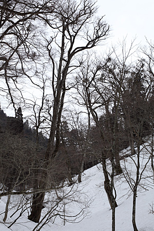 e0113053_23451371.jpg