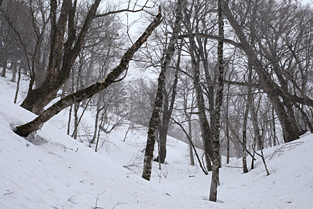 e0113053_23464335.jpg