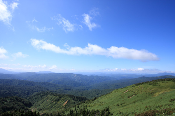 e0122855_18535526.jpg