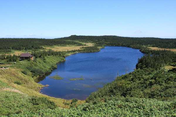 e0122855_18541640.jpg