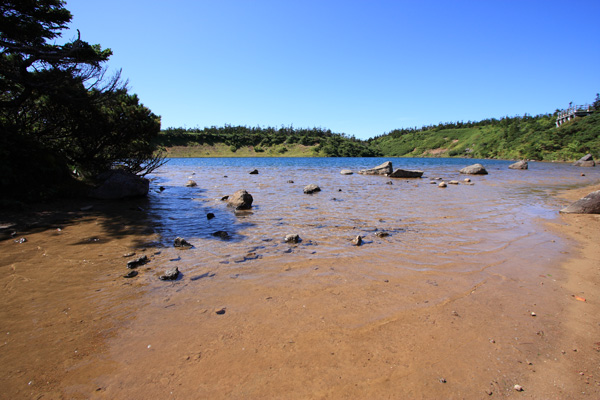 e0122855_185488.jpg