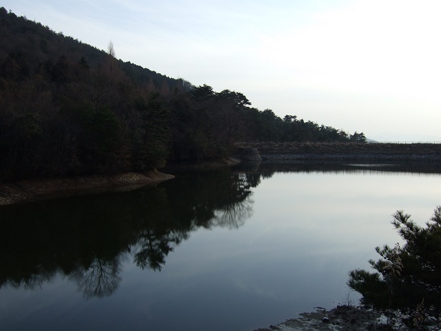 b0095061_820162.jpg