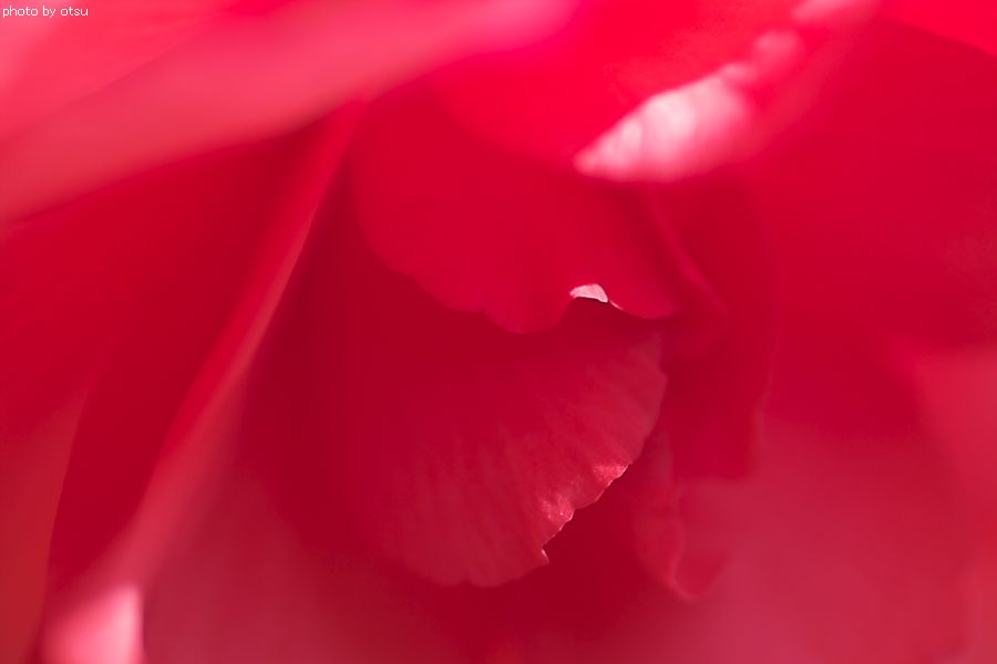 b0098362_5185628.jpg