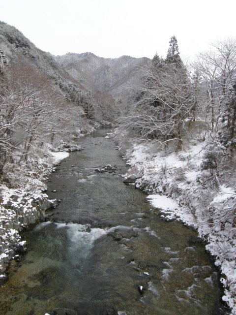 d0134473_10213679.jpg