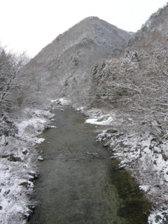 d0134473_10235790.jpg