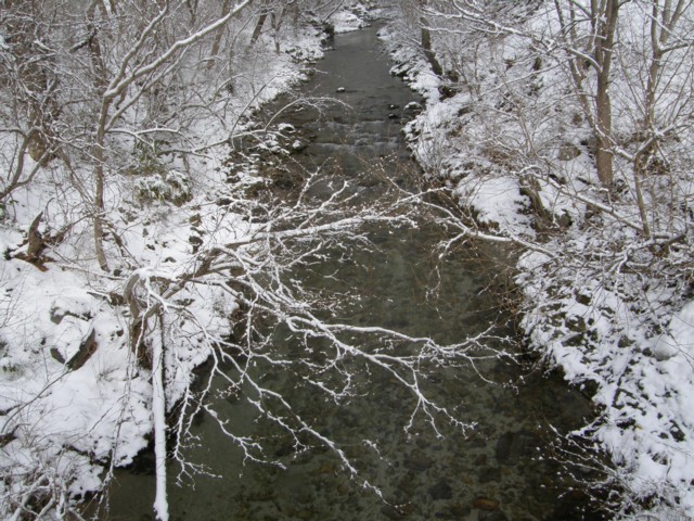 d0134473_10282935.jpg