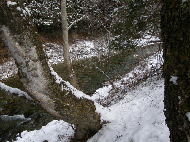 d0134473_10313954.jpg