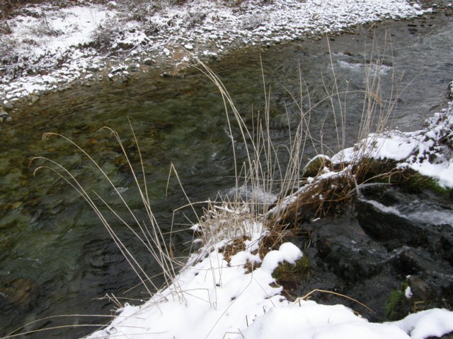 d0134473_1035371.jpg