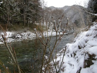 d0134473_10365582.jpg