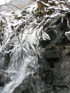 d0134473_1042194.jpg