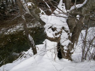 d0134473_1113480.jpg