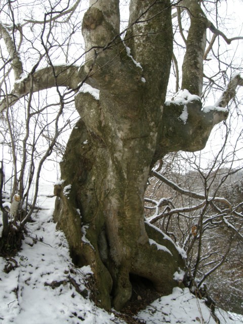 d0134473_1155377.jpg