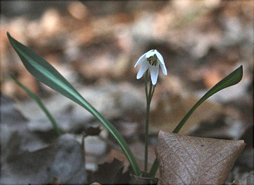 f0181173_15553653.jpg