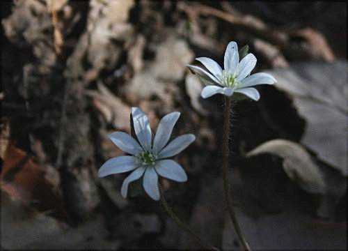 f0181173_15584946.jpg