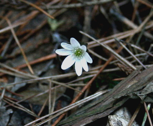 f0181173_16174026.jpg