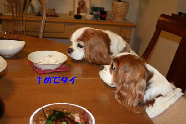 e0114977_1232250.jpg