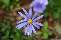 c0193778_21114410.jpg