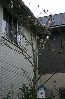 c0193778_21132479.jpg