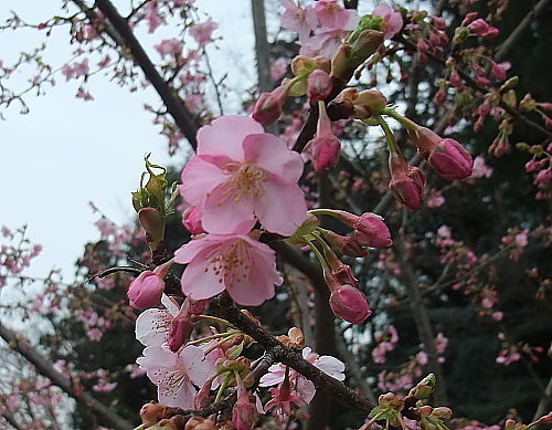 b0136381_11563081.jpg