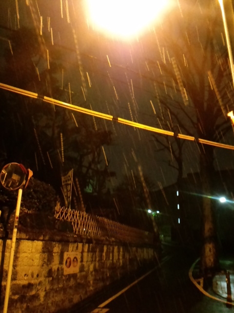 f0035084_120380.jpg