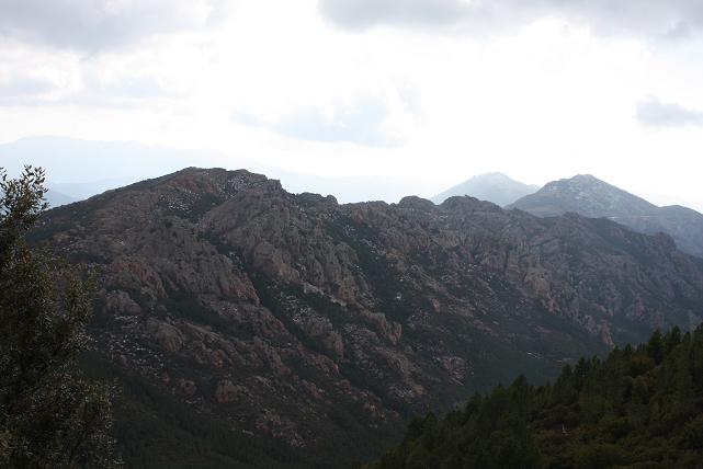 f0044892_7350100.jpg