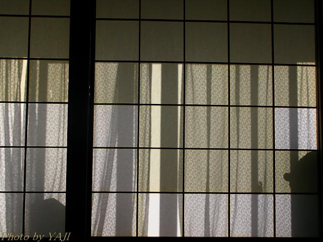 d0069495_0312045.jpg