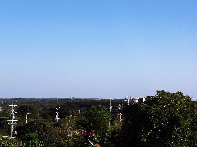 d0069495_0321140.jpg