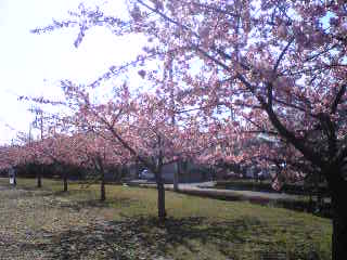 e0087901_23484529.jpg