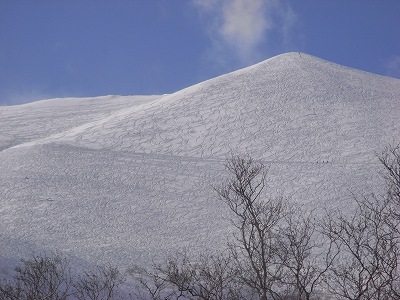 f0157901_1641785.jpg