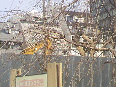 a0024005_1532529.jpg