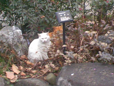 a0024005_15424427.jpg