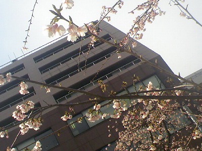 a0024005_15455830.jpg