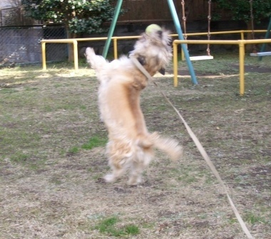 e0078510_23392383.jpg