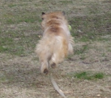 e0078510_234522.jpg
