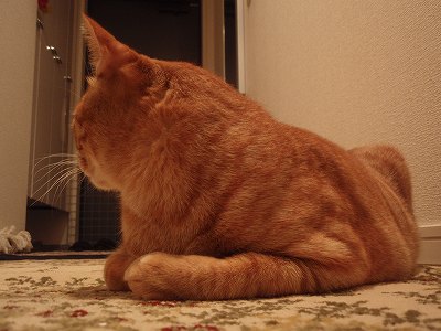 c0145016_2132541.jpg