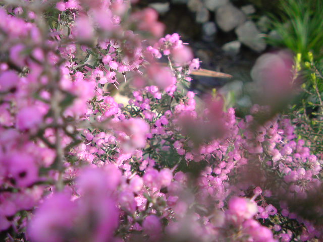 e0016828_20265077.jpg