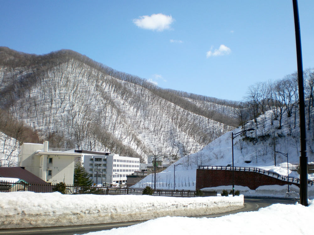 e0037129_2219292.jpg