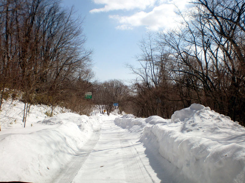 e0037129_22232984.jpg